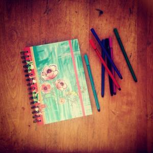 12106153_420127394860165_1258527820_n(1)